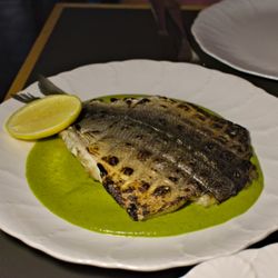 Alder - Branzino