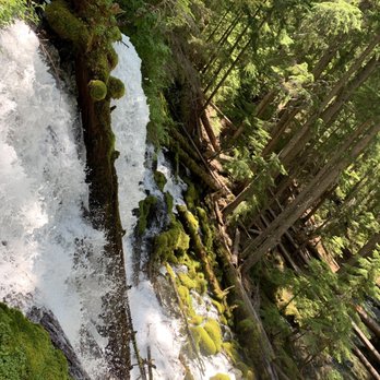 Clearwater Falls - Hiking Near Me - Clearwater Falls, Oregon