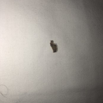 Hampton Inn Houston-Pearland - BED BUGS - Hotels Near Me - Pearland, Texas Hampton Inn Houston-Pearland - BED BUGS - Hotels Near Me - Pearland, Texas