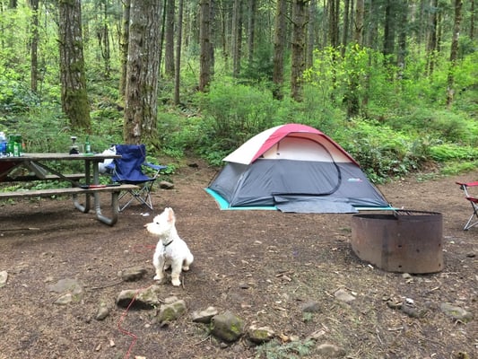 Ainsworth State Park by null