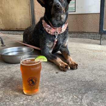 Spotted Dog Brewery - Nolli enjoying her favorite Cerveza - Breweries Near Me - Mesilla, New Mexico Spotted Dog Brewery - Nolli enjoying her favorite Cerveza - Breweries Near Me - Mesilla, New Mexico