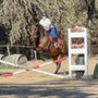 Photo of Equine Unlimited