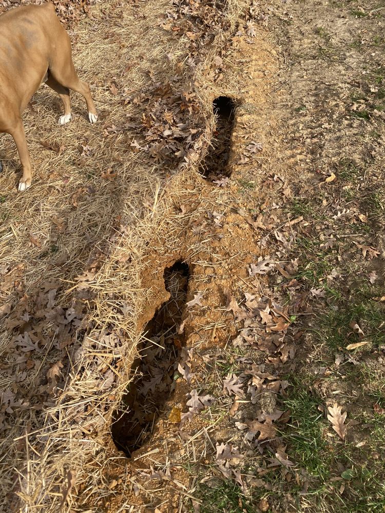 Slide of Southern Trust Home Services