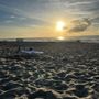 Photo of Salty Dog Yoga & Surf