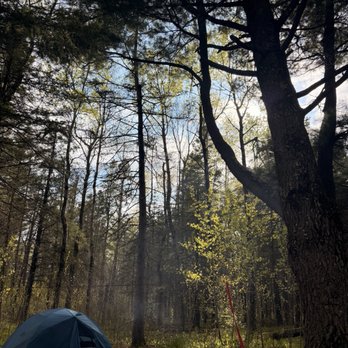 Jay Cooke State Park - Walk in site 83 - Campgrounds Near Me - Carlton, Minnesota Jay Cooke State Park - Walk in site 83 - Campgrounds Near Me - Carlton, Minnesota