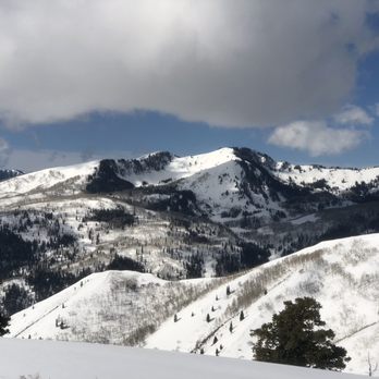 Wasatch Excursions - ATV Rentals/Tours Near Me - Midway, Utah Wasatch Excursions - ATV Rentals/Tours Near Me - Midway, Utah