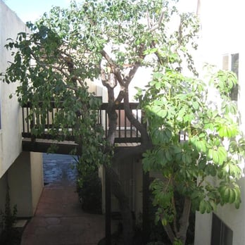 Rodriguez Tree Services - Tree Services Near Me Rodriguez Tree Services - Tree Services Near Me