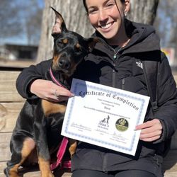 Alan's K9 Academy