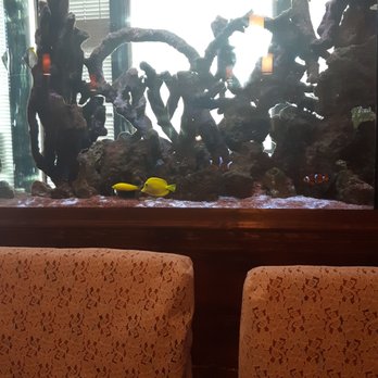 Pho Vn - Beautiful saltwater fish tank at the entrance and at our tables view - Vietnamese Near Me - Boynton Beach, Florida Pho Vn - Beautiful saltwater fish tank at the entrance and at our tables view - Vietnamese Near Me - Boynton Beach, Florida