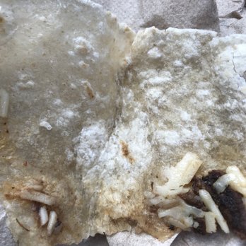 Chipotle Mexican Grill - Mexican Near Me - Ocala, Florida