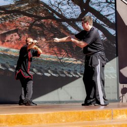 5 Elements Kung Fu