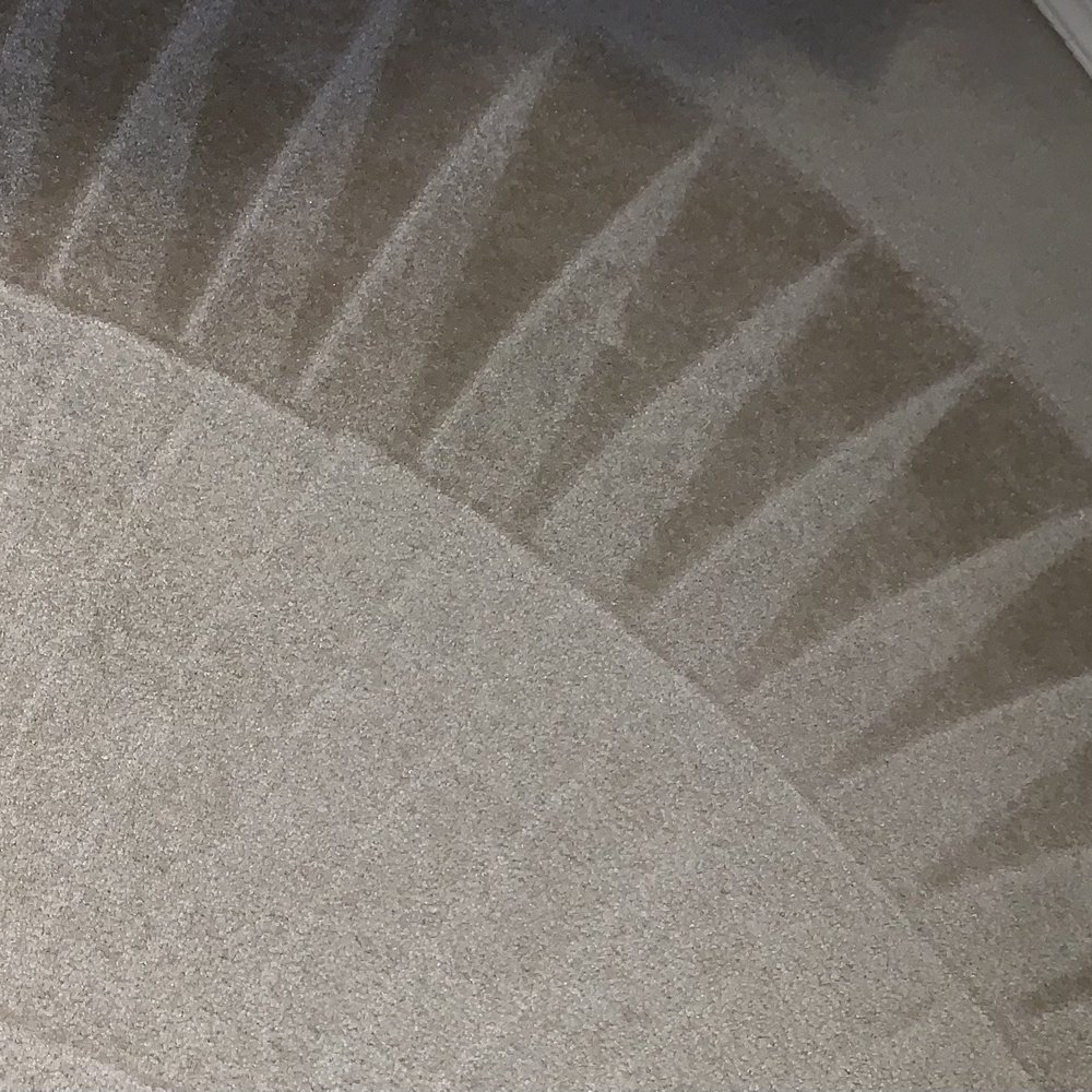 Sweeney Cleaning Company - Carpet Cleaning Near Me - Sarasota, Florida Sweeney Cleaning Company - Carpet Cleaning Near Me - Sarasota, Florida