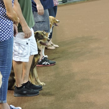 Soldier's Best Friend - Community Service/Non-Profit Near Me - Peoria, Arizona Soldier's Best Friend - Community Service/Non-Profit Near Me - Peoria, Arizona