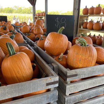 Gentry's Farm - Farms Near Me - Franklin, Tennessee