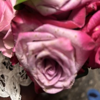 Vancouver Blooms - Florists Near Me - Surrey, British Columbia