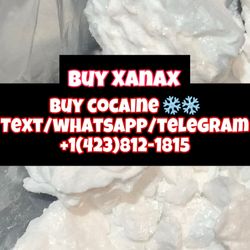 Drug Emporium