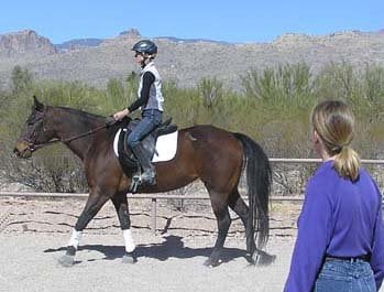 Desert Horse Equestrian Services - equestrian in Tucson, AZ