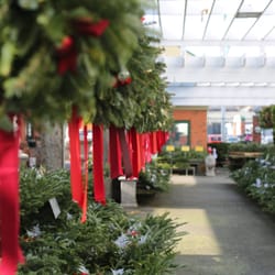 Cedar Grove Christmas Trees
