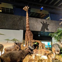 Museum d'Histoire Naturelle