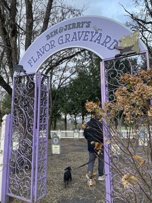 Ben & Jerry's Flavor Graveyard by null