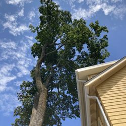 Barrett Tree Service East