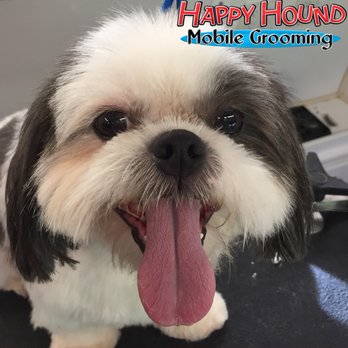 Happy Hound Mobile Grooming - Pet Groomers Near Me