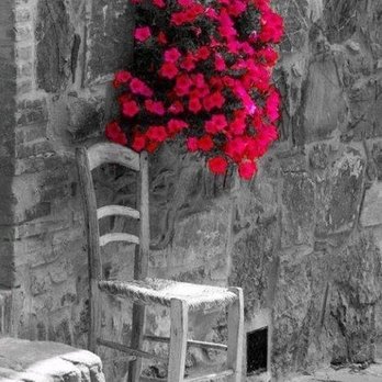 Danbys Roadhouse - Red roses in black and white photo, nice - Pubs Near Me - Ottawa, Ontario Danbys Roadhouse - Red roses in black and white photo, nice - Pubs Near Me - Ottawa, Ontario