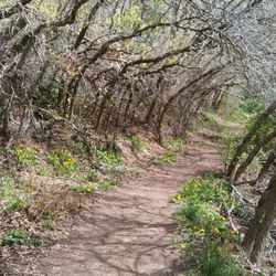 Mount Ogden Park