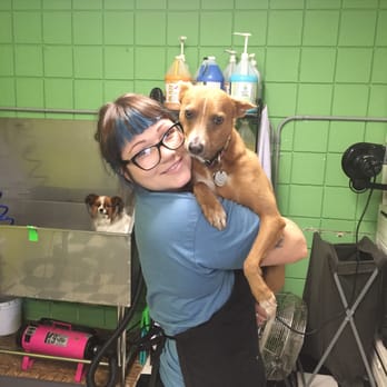 Green Paw Grooming - Ashli and Wiley! - Pet Groomers Near Me - La Jolla, California