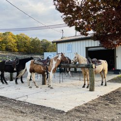 Echo Lake Stables