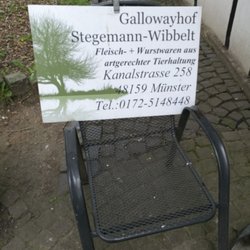 Gallowayhof Stegemann-Wibbelt