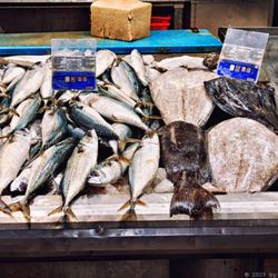 Mercado Central de Abastos - Beim Fischhändler (06/2025)