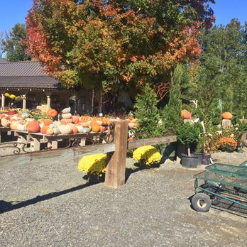 The Garden - A huge selection. - Nurseries & Gardening Near Me - Woodbury, Connecticut
