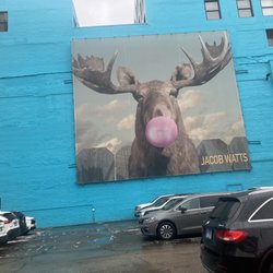 A Moose Blowing Bubble Gum