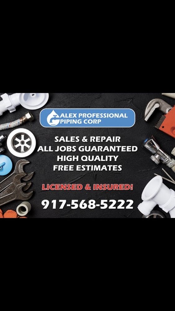 Slide of Alex Professional Piping