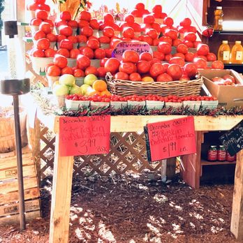 Walker's Produce - Ruskin tomatoes!! We stopped to buy some... - Fruits & Veggies Near Me - Bartow, Florida Walker's Produce - Ruskin tomatoes!! We stopped to buy some... - Fruits & Veggies Near Me - Bartow, Florida