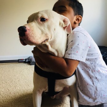 CMPD Animal Care and Control - Everyone needs a friend! - Animal Shelters Near Me - Charlotte, North Carolina CMPD Animal Care and Control - Everyone needs a friend! - Animal Shelters Near Me - Charlotte, North Carolina