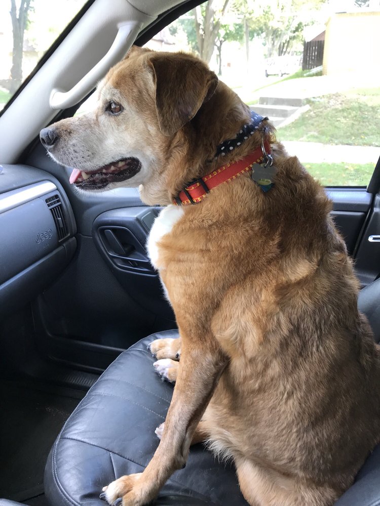 FANCY PANTS PET SALON Updated July 2024 13 Reviews 6421 W North