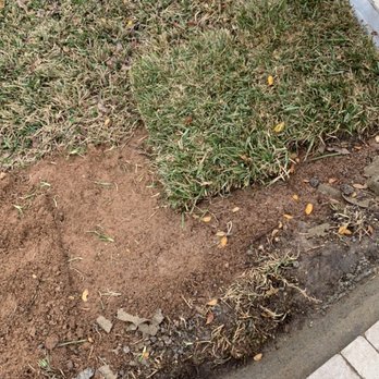Allied Outdoor Solutions - General Contractors Near Me - Houston, Texas Allied Outdoor Solutions - General Contractors Near Me - Houston, Texas