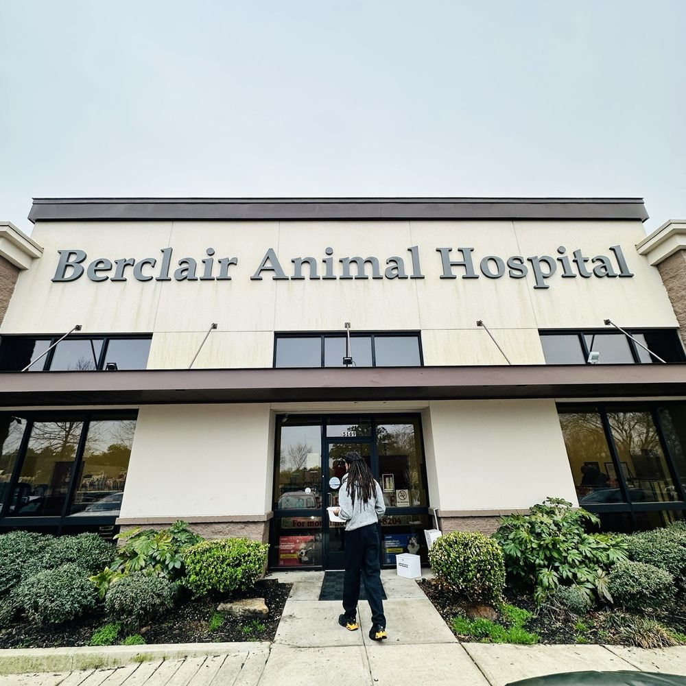 Berclair Animal Hospital - Veterinarians Near Me - Memphis, Tennessee