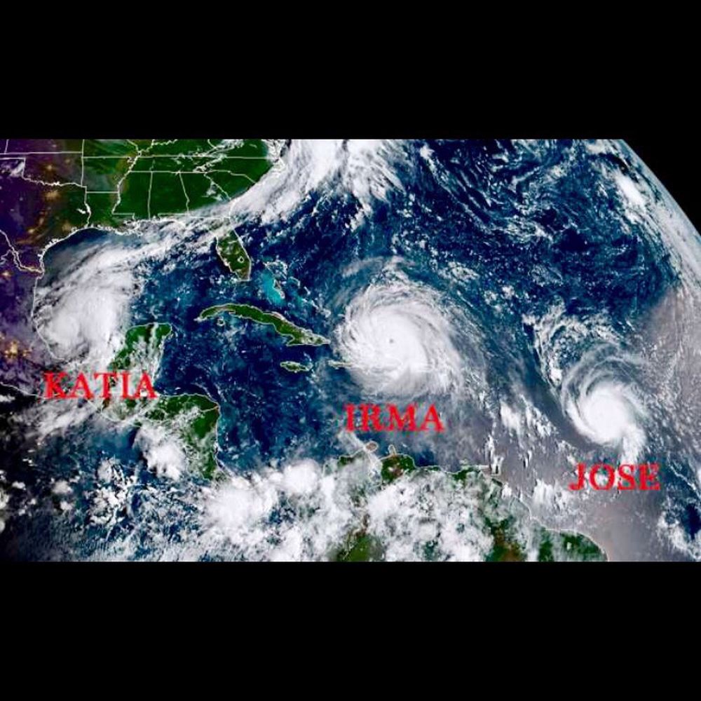 National Hurricane Center - People need to take this shit more seriously: keep your kids & family safe, and keep your animals safe. - Tours Near Me - Miami, Florida National Hurricane Center - People need to take this shit more seriously: keep your kids & family safe, and keep your animals safe. - Tours Near Me - Miami, Florida