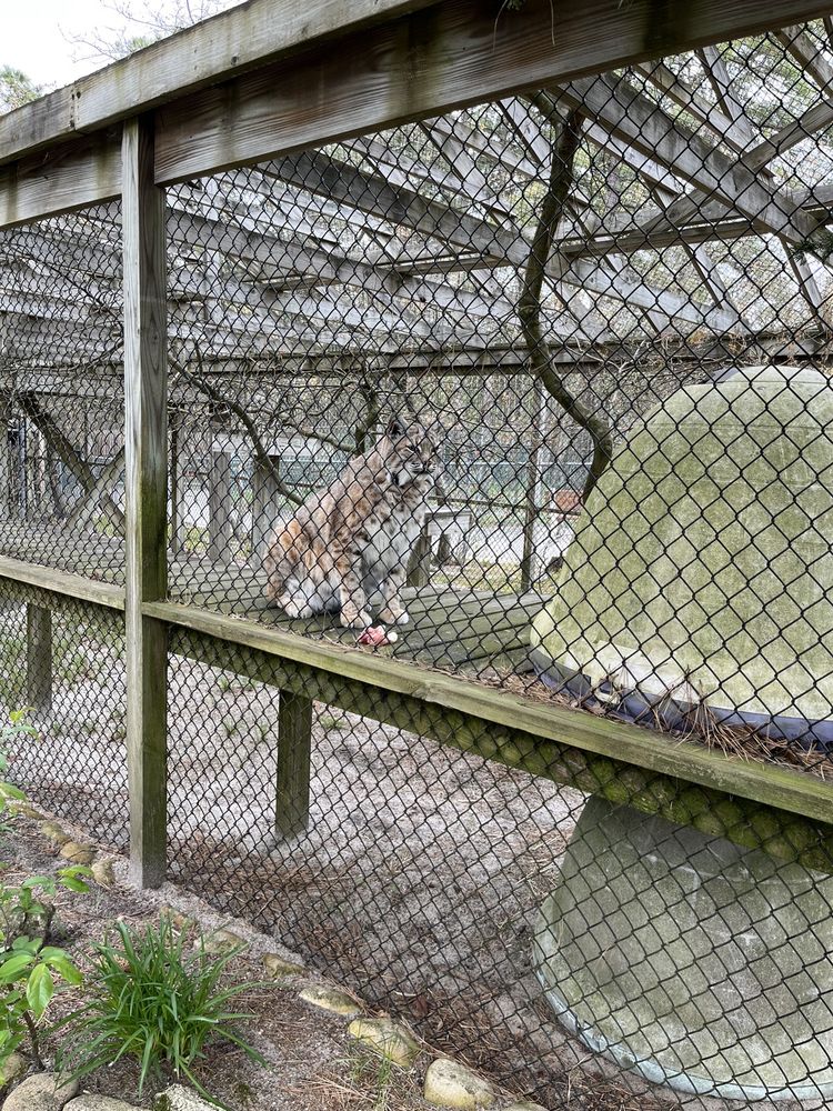 Popcorn Park Zoo Image