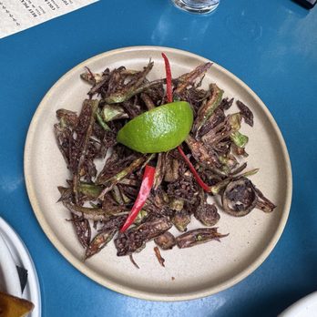 Cayo Coco Rum Bar & Restaurante - Fried okra - Bars Near Me - Birmingham, Alabama