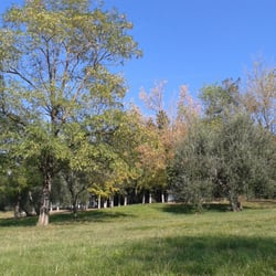 Parco del Pionta - Parco