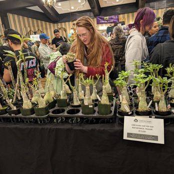 Ontario Plant Show - Unique plants - Florists Near Me - Toronto, Ontario Ontario Plant Show - Unique plants - Florists Near Me - Toronto, Ontario