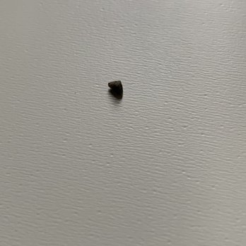 Tofu 101 - A pebble found in the rice roll. About a few cm long - Chinese Near Me - Bellevue, Washington Tofu 101 - A pebble found in the rice roll. About a few cm long - Chinese Near Me - Bellevue, Washington