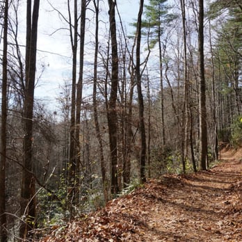 Gorges State Park - Rainbow Falls trail - Parks Near Me - Sapphire, North Carolina Gorges State Park - Rainbow Falls trail - Parks Near Me - Sapphire, North Carolina