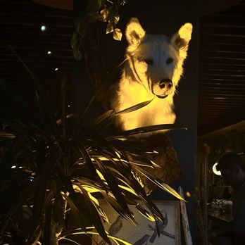 Wren & Wolf - At entrance - Cocktail Bars Near Me - Phoenix, Arizona Wren & Wolf - At entrance - Cocktail Bars Near Me - Phoenix, Arizona