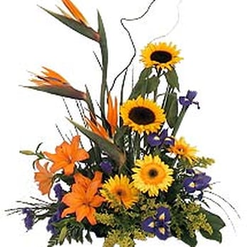Avio Flowers - Say with Flowers - Florists Near Me - North York, Ontario Avio Flowers - Say with Flowers - Florists Near Me - North York, Ontario