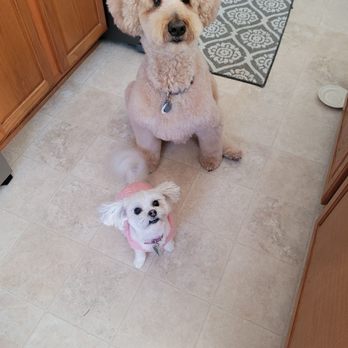 Paw Paradise Spa - Pet Groomers Near Me - Omaha, Nebraska